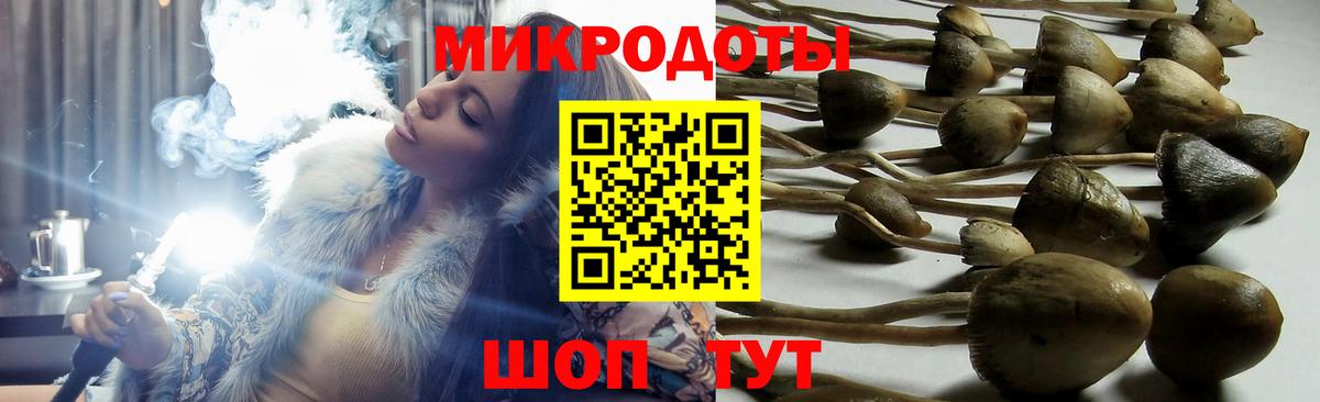 Стрежевой  Псилоцибиновые грибы ЛСД  Вход с VPN  Галлюциногенные грибы Magic Shrooms 